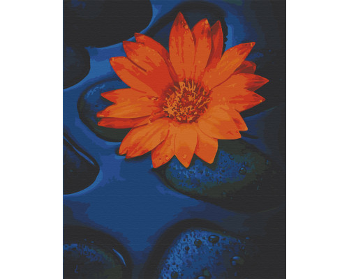 Картина за номерами. Art Craft "Квітка лотоса" 40х50 см 13124-AC